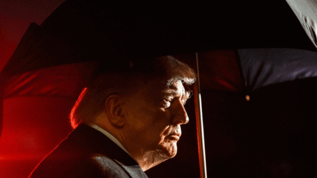 trump tn