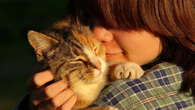 nina-y-gato