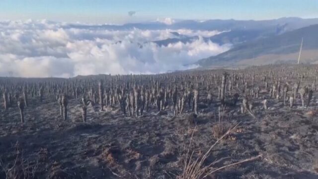 900-0-1770068870xel-nino-la-nina-482
