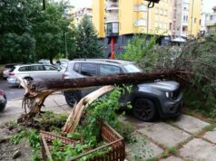 Stuhia e fuqishme paralizon Shkupin: Mbi 1.000 thirrje në 112, të lënduar dhe dëme të mëdha nga era 90 km/h (FOTO+VIDEO)