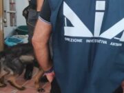 Droga nga Shqipëria drejt Italisë me autobusë linje, 23 persona të arrestuar
