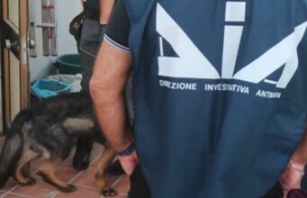 Droga nga Shqipëria drejt Italisë me autobusë linje, 23 persona të arrestuar