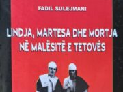 ZAKONET E FEJESËS DHE DASMËS NË MALËSITË E TETOVËS