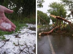 “Ferri i breshrit” godet Gjermaninë: Mijëra thirrje emergjente, 50 mijë hektarë të dëmtuar dhe stuhi të reja në Gjermani e Austri