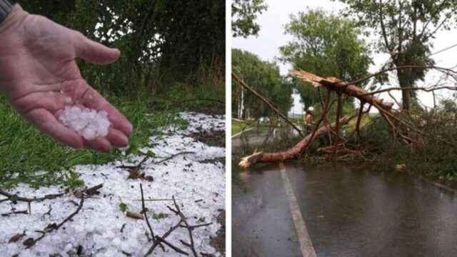 43330181-unwetter-norddeutschland-hagel-R5BG