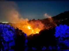 Zjarre pyjore në disa provinca të Turqisë, vazhdon ndërhyrja në Izmir dhe Muğla