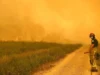 BELGJIKË – Hautes Fagnes (Hoge Venen) në flakë: 2.700 hektarë të prekur, rreth 600 të evakuuar dhe beteja hyn në natën e dytë