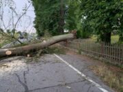 STUHI VDEKJEPRURËSE NË RATHEN: NJË 28-VJEÇAR HUMB JETËN, 13 PERSONA PLAGOSEN DHE FELSENBÜHNE MBYLLET PAS RRËZIMIT MASIV TË PEMËVE