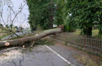 STUHI VDEKJEPRURËSE NË RATHEN: NJË 28-VJEÇAR HUMB JETËN, 13 PERSONA PLAGOSEN DHE FELSENBÜHNE MBYLLET PAS RRËZIMIT MASIV TË PEMËVE
