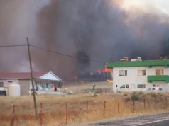 Nisin hetime për 44 zjarre pyjore në 16 provinca turke – ministri Gürlek jep hollësi