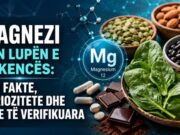 MAGNEZI NËN LUPËN E SHKENCËS: 400 FAKTE, KURIOZITETE DHE MITE TË VERIFIKUARA