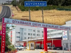 Fëmija i vogël u intubua: A mund të transmetohet tërbimi nga macja?