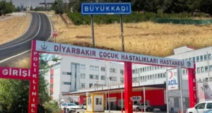 Fëmija i vogël u intubua: A mund të transmetohet tërbimi nga macja?