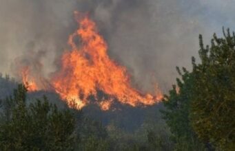 E fundit: 8 vatra zjarri mbeten aktive, shpëtohen disa banesa në Pukë e Mirditë, ndërhyrje nga ajri në Dukat!