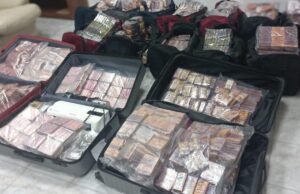 Itali/ Kapet me 414 kg kanabis shqiptari, droga kap vlerën e mbi 4 milionë eurove