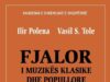 ANALIZË/Kur muzika kërkon fjalët e veta
