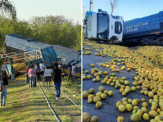Treni del nga shinat pasi përplaset me një kamion të mbushur me limona (VIDEO)