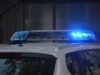 Humbi jetën një person në rrugën Ohër – Kërçovë, vetura iu përfshi në flakë pas përplasjes me qen dhe barriera metalike