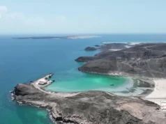 Arabia Saudite planifikon një ofensivë të madhe kundër huthëve, por SHBA-ja nuk do të përfshihet për momentin