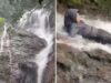 VIDEO: Turistja 25-vjeçare humb jetën pasi bie nga një ujëvarë rreth 20 metra e lartë
