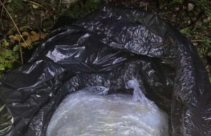 Arrestohet 40-vjeçari nga Gostivari me rreth një kilogram marihuanë në afërsi të Qafë Thanës