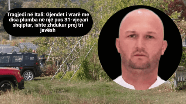 clideo_editor_3d9e773f8d4d44439e59d91620b6de51