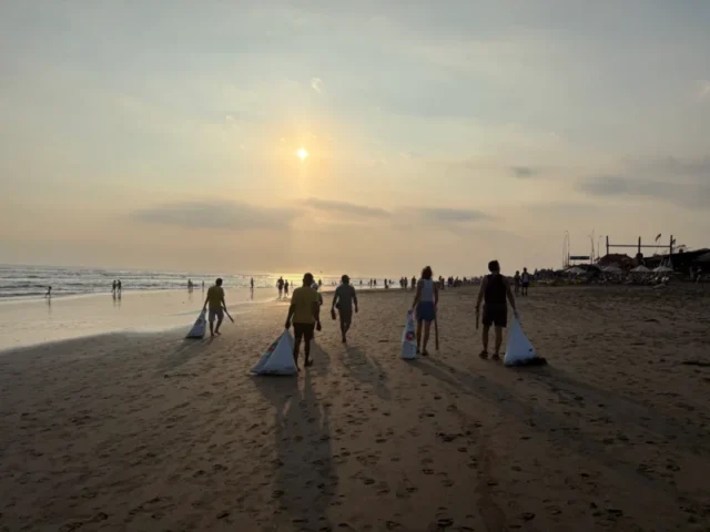 muellsammelaktion-am-strand